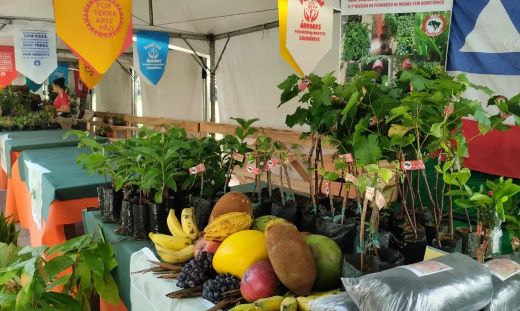 REFORMA AGRÁRIA: Feira oferece alimentos produzidos por acampamentos